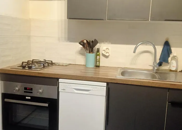 Noel Centre Appartement Rijsel